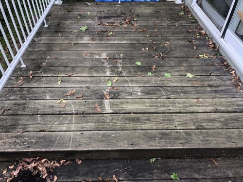 Powerwash & Softwash Photos