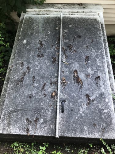Powerwash & Softwash Photos